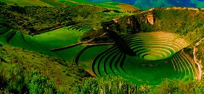 Moray